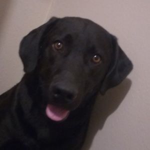 Meet your Posher, Deontay